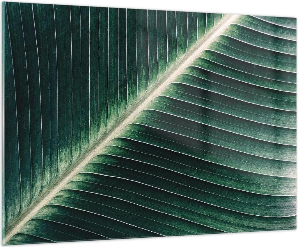 Bilder auf glas - Einteilig - Grün Blatt Tropisch - Produktbild 