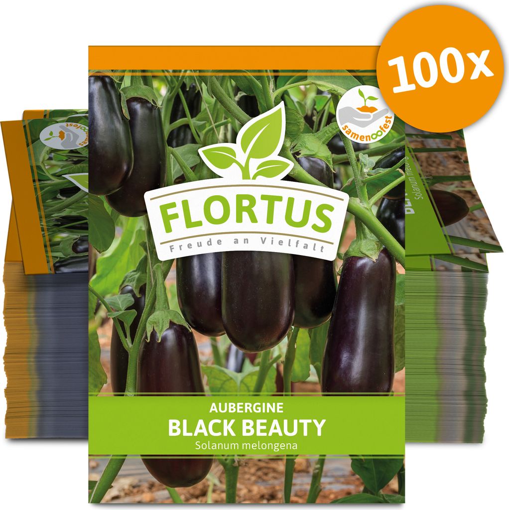 Aubergine Black Beauty (100 Stück) | Auberginensamen von FLORTUS
