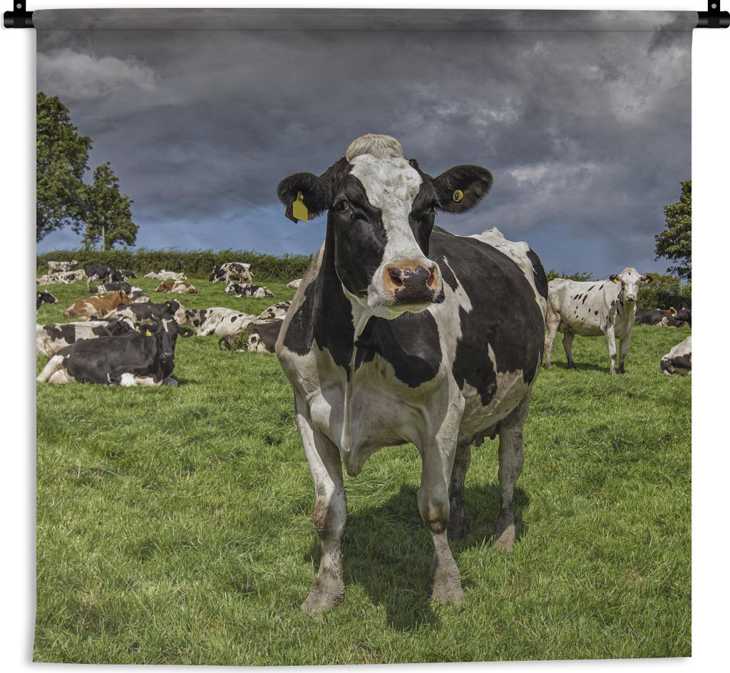 MuchoWow Wandteppich Wandbehang Kühe - Tiere - Friesisch 120x120 cm Tapisserie Dekoration Wandtuch - Modern - Baumwollgewebe