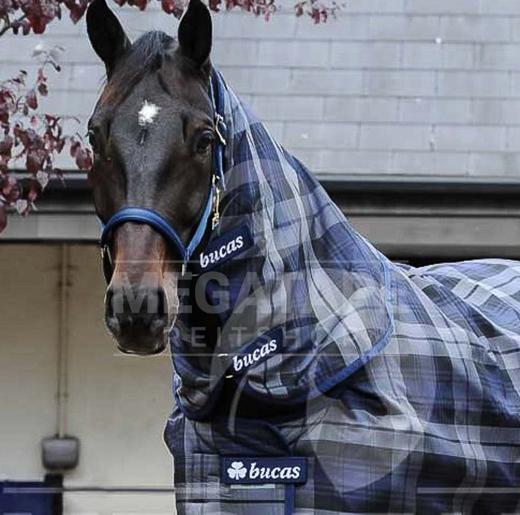 Bucas Halsteil Celtic Stable Combi Neck 0g - tartan/grau