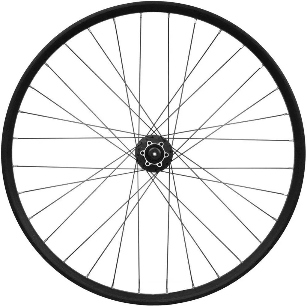 Roue M-Wave 29 Pouces à Attache Rapide et Fixation Disque 6 Trous Shimano HG