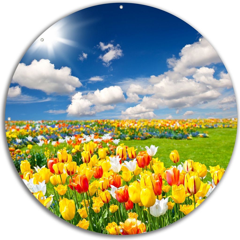 Wallario rundes Outdoor-Poster für Garten oder Balkon, Motiv Tulpenwiese unter blauem Himmel, 60 cm Durchmesser