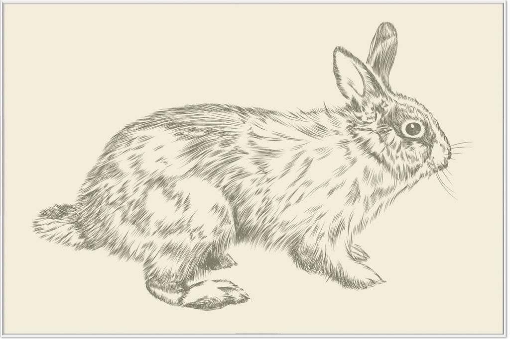 Wallario Wandbild Hase als illustrierte Bleistiftzeichnung, Produktbild 