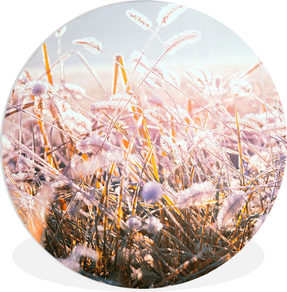 MuchoWow Rundes Wandbild - Runde Bilder Gras - Sonne - Winter - Schnee Ø 90 cm Kreis Wanddekoration Kunststoff - Wandkreis - Wandschmuck - Wand-...