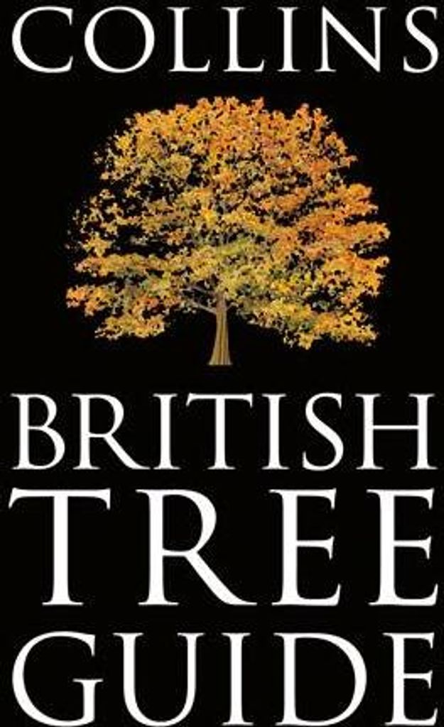 Collins British Tree Guide