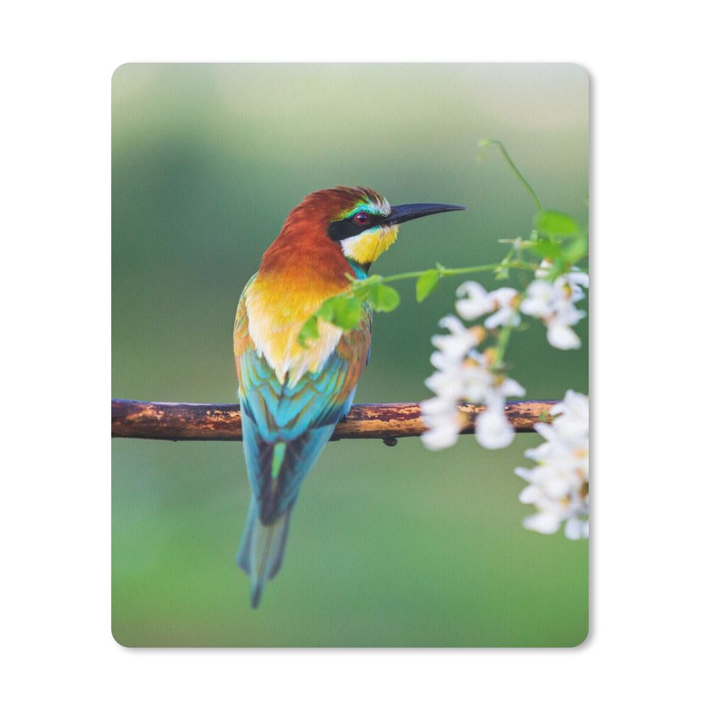 MuchoWow Mauspad Mousepad Vogel - Bienenfresser - Blumen 19x23 cm - Mousepads - Maus Mat - Pad - Mausunterlage - Mauspads - Spielen