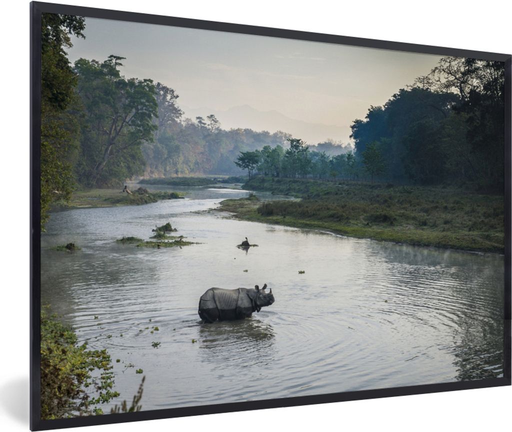MuchoWow MuchoWow Gerahmtes Poster Nashorn beim Überqueren des Flusses im Chitwan-Nationalpark, Nepal 60x40 cm - Poster mit zchwarzem Bilderra...
