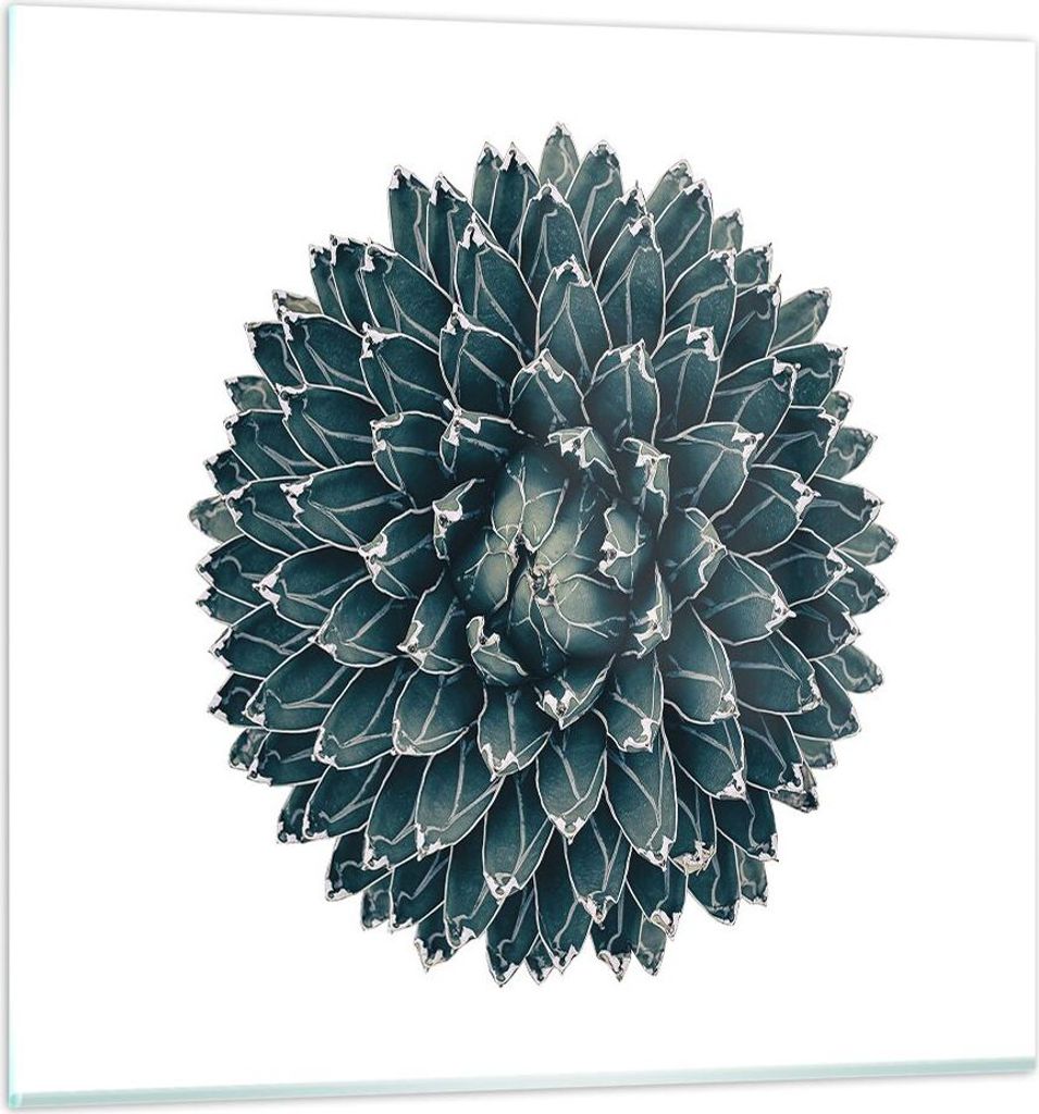 Bilder auf glas - Einteilig - Agave Königin Victoria - 50x50cm - Glasbilder - Wandbilder - Bilder - zum Aufhängen bereit - Wanddekoration aus Gla...
