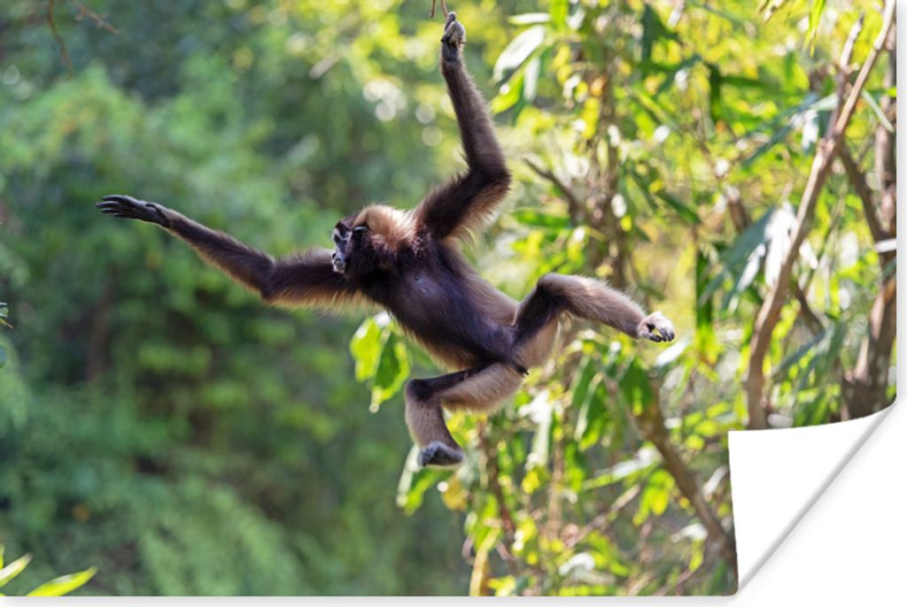 MuchoWow Poster Springender Affe im Dschungel 180x120 cm - Fotoplakat