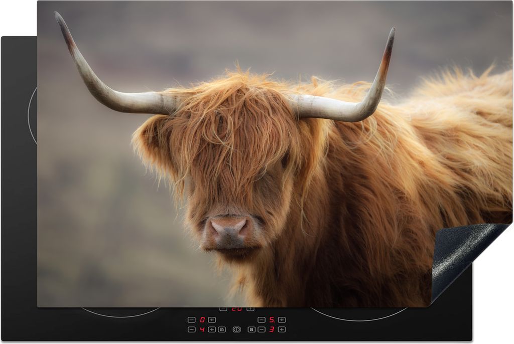 KitchenYeah Herdabdeckplatte Schottischer Highlander - Hörner - Haare , 80x52cm, Küche Deko, Glaskeramikfeld Herdabdeckung, Abdeckplatte fùr K...