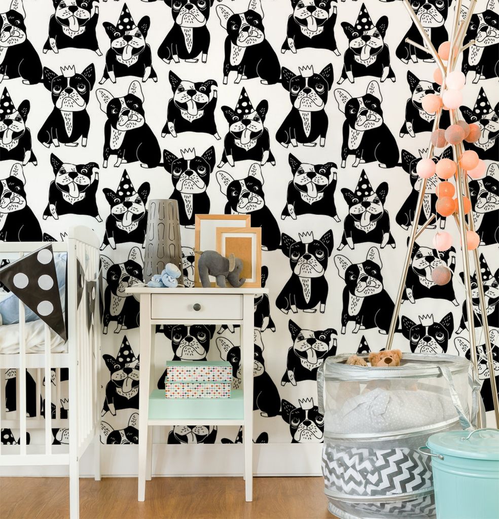 Coloray Fototapete 152x104 cm Vlies-Fototapete - Happy Hunde Tiere Vierbetriebene Bulldogge