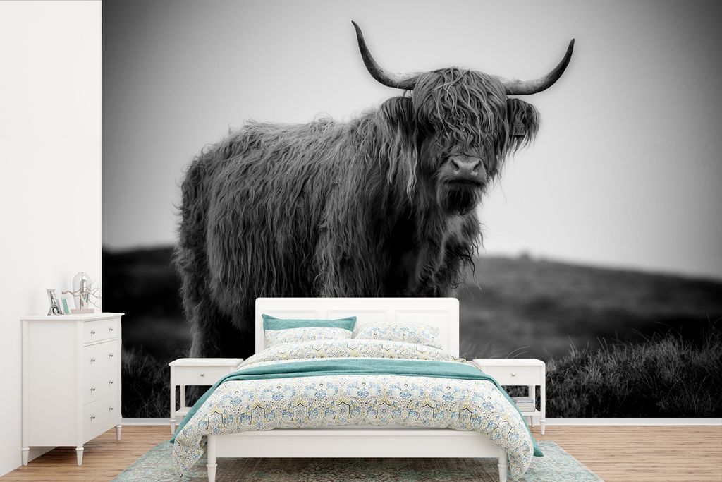 MuchoWow Fototapete für Wohnzimmer oder Schlafzimmer Wandtapete Vinyl Motivtapete Schottischer Highlander in den schottischen Highlands - schwar...