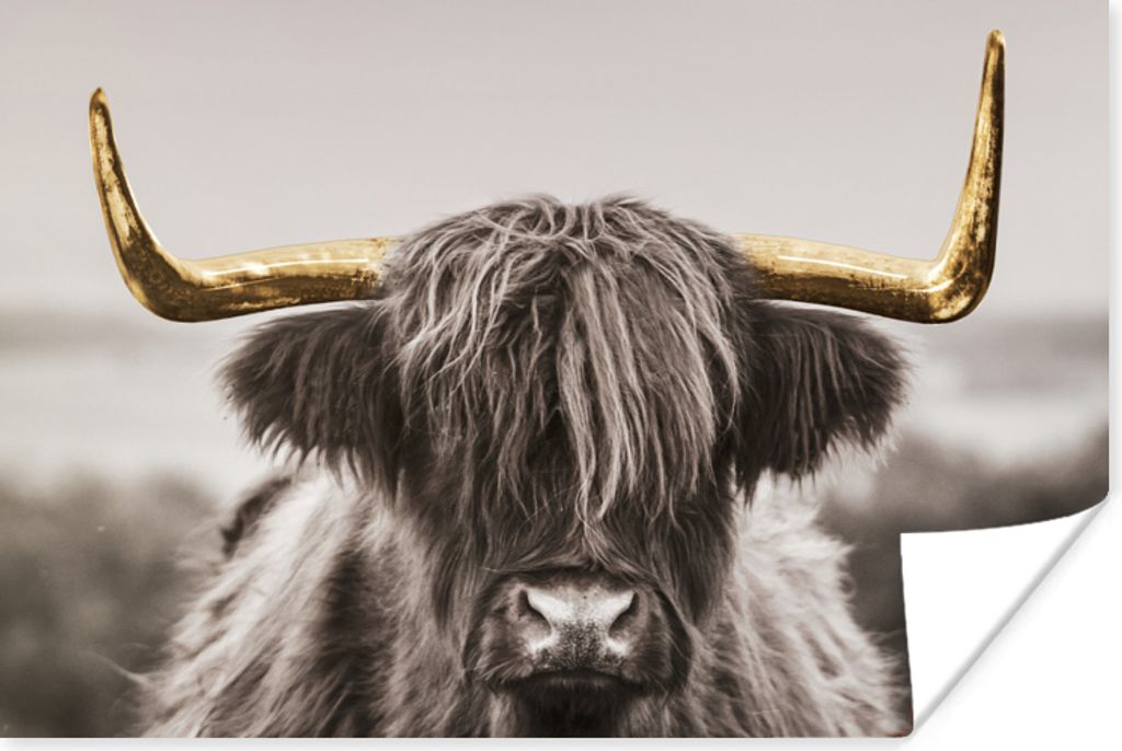 MuchoWow Poster Schottischer Highlander - Gold - Schwarz - Weiß 90x60 cm - Schlafzimmer