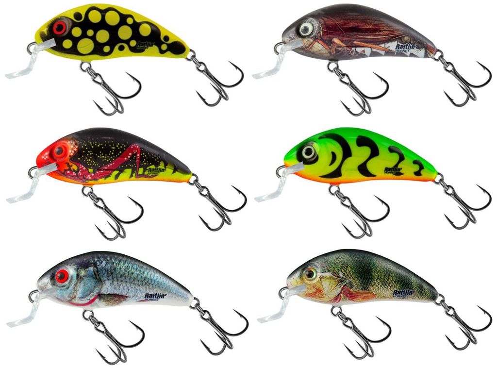 Salmo Rattlin Hornet Shallow 3,5cm 3g - schwimmender Wobbler, Salmo Farben:Holographic Real Dace