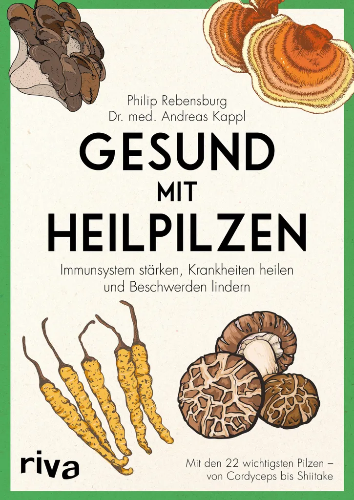 Remède Naturel Champignons contre la Fatigue - Énergie et Vitalité Bio