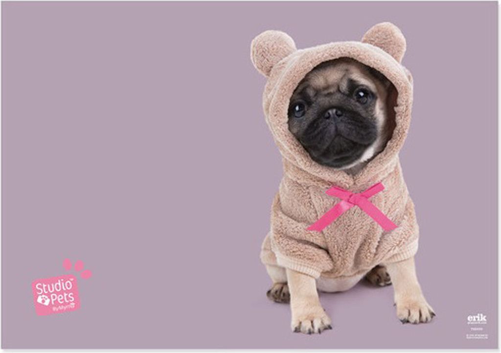 Studio Pets - Schreibtischunterlage - Mops