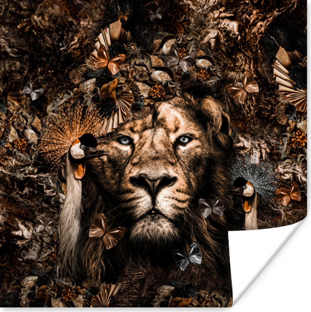 MuchoWow Poster Tiere - Schmetterlinge - Vögel 50x50 cm - Wohnzimmerdekoration