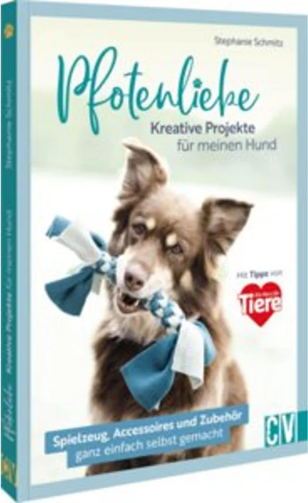Finissez-en avec les accessoires chers : créez vos projets pour chien