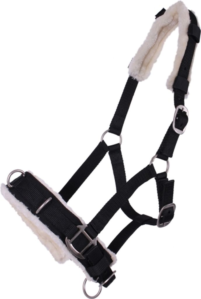 Kappzaum Halfter Nylonhalfter Longierhalfter QHP 7 Farben und 4 Grössen Farbe - schwarz Größe - Pony