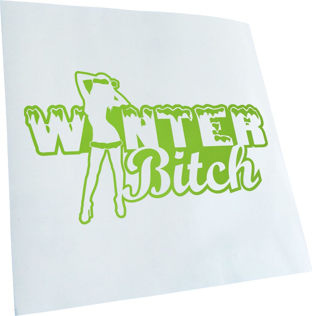 Kiwistar - Autoaufkleber - -Winter Bitch Design 2 Heckscheibenaufkleber - Aufkleber für Auto Kfz Fahrrad, LKW, Truck Mofa