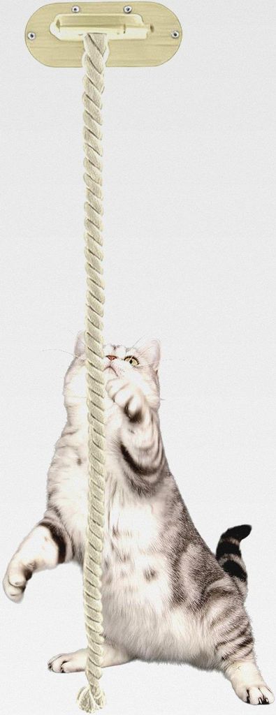 Kletterbaum für Katzen, interaktives Aktivitätsspielzeug, Fenster-Saugnapf, 150 cm, interaktives Seil, für Zuhause, Wohnung, Bauernhaus, Wohnzim...