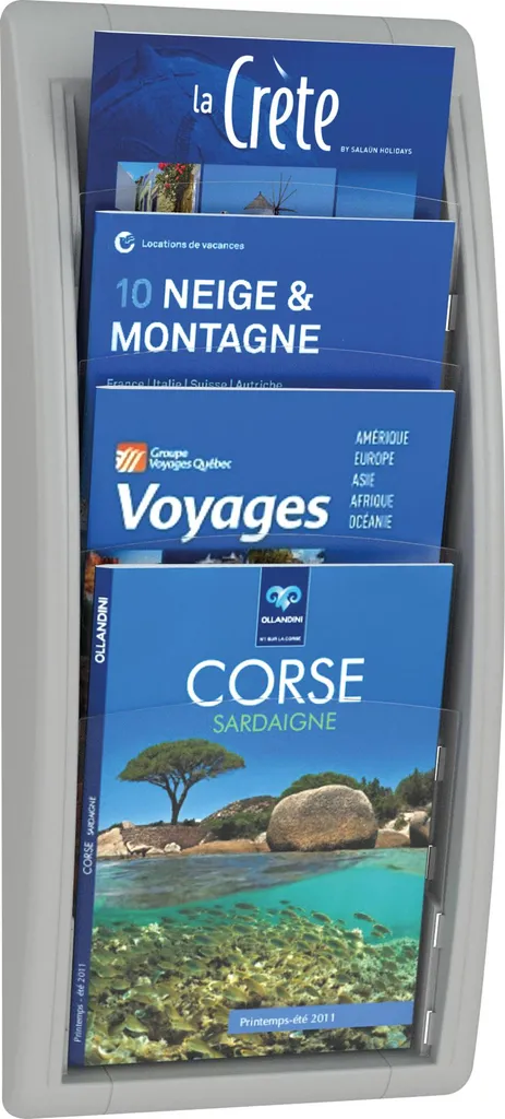 PAPERFLOW 4061.02 Présentoir Mural A4 Gris - Porte-brochures Robuste
