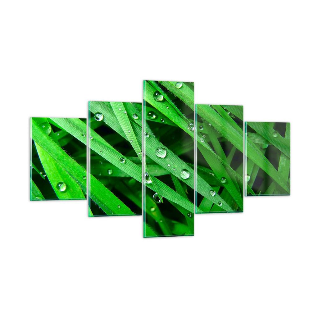 Bilder auf glas - Natur Gras Wasser Tropfen - 125x70cm - Glasbilder - Wandbilder - Kunstdruck - zum Aufhängen bereit - Wanddekoration aus Glas - G...