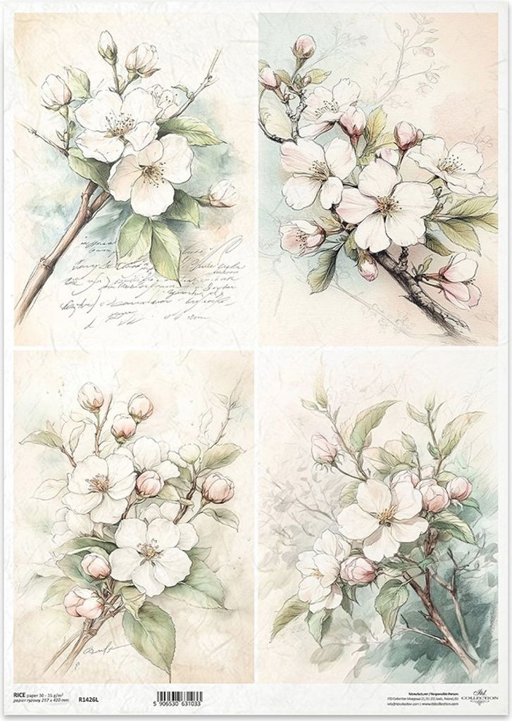 Reispapier Decoupage Bastelpapier für Decoupage A3 ITD-1426L Obst Blumen Zweige