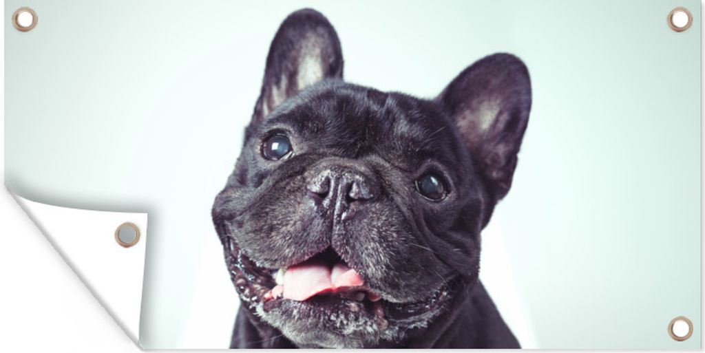 MuchoWow 80x40 cm Outdoor-Poster Gartendeko Sichtschutz Garten Poster für den Garten Französische Bulldogge - Schwarz - Stuhl