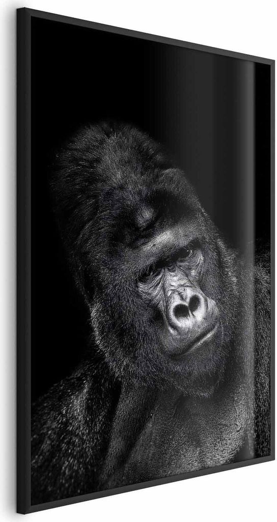 Posterpapier Poster - Gorilla 60x90 cm Tiere g-B-0113-ao-a
