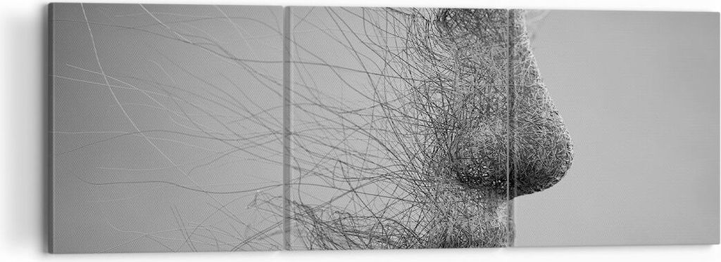 Bild auf Leinwand - Leinwandbild - 3 Teile - Gesicht Grafiken Fäden - 120x40cm - Wand Bild - Wanddeko - Wandbilder - Leinwanddruck - Bilder - Wand...