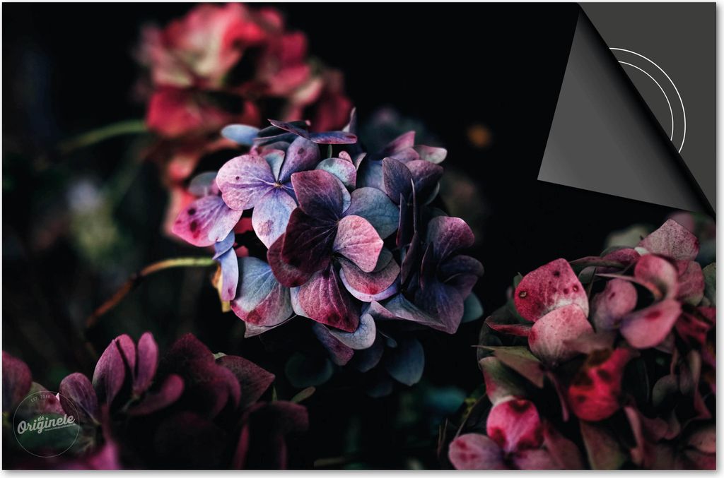 Induktionsschutz 90x52 - abdeckplatte Induktion matt- Dietrix Kochfeldschutz- DELUXE - Blumen und Pflanzen - Hortensie