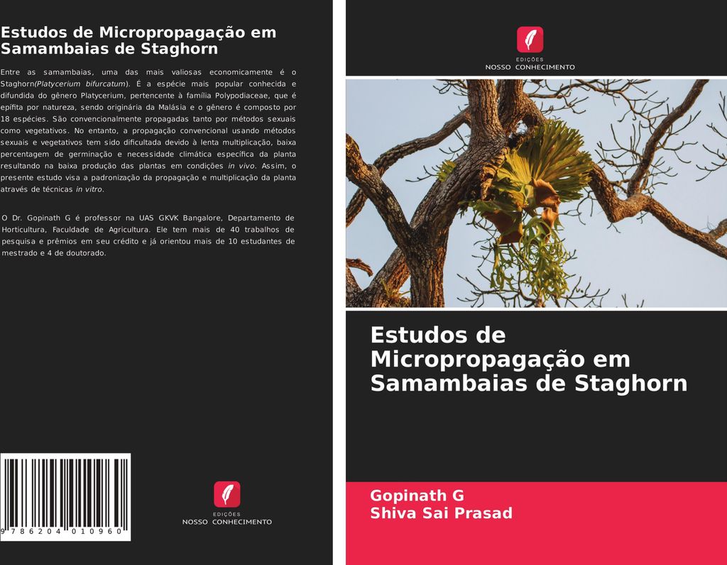 Estudos de Micropropagação em Samambaias de Staghorn