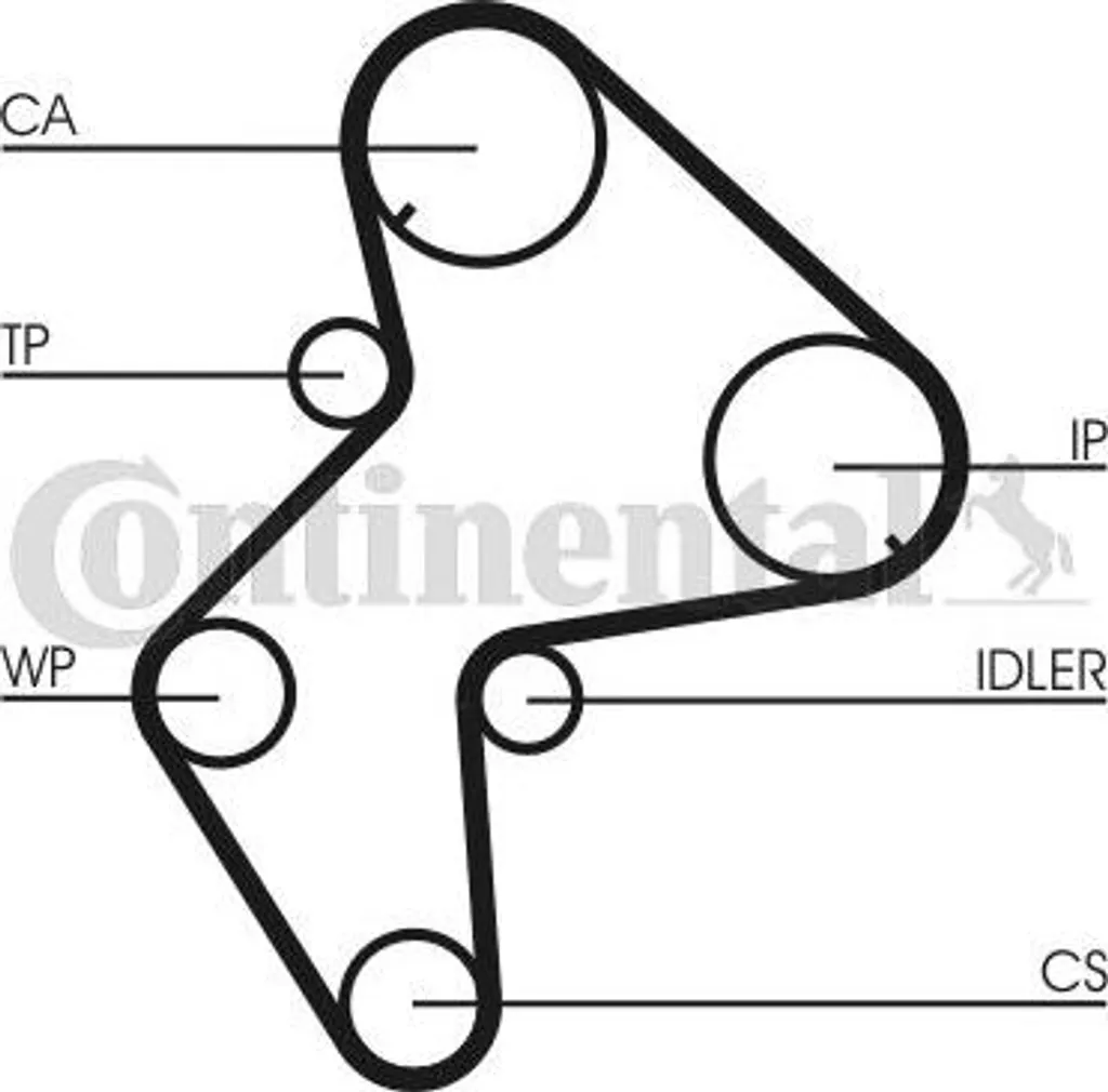 Courroie de transmission CT775 Continental : idéal entretien Escort, XM