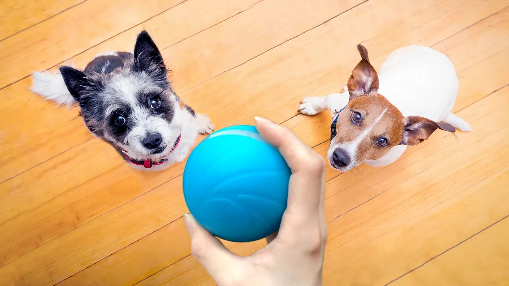 CHEERBLE Wicked Ball Palla interattiva per cani verde - 3