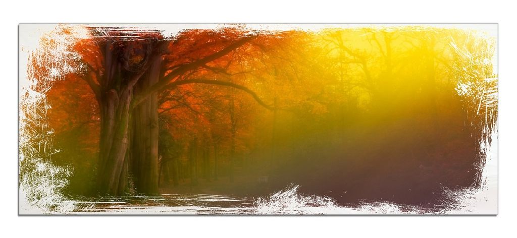 Wallario Kunstdrucke Wandbilder Holz in : Brillante Farben, Größe 50 x 125 cm Motiv Bunter Herbst - Waldlandschaft bei Nebel in Regenbogenfarben