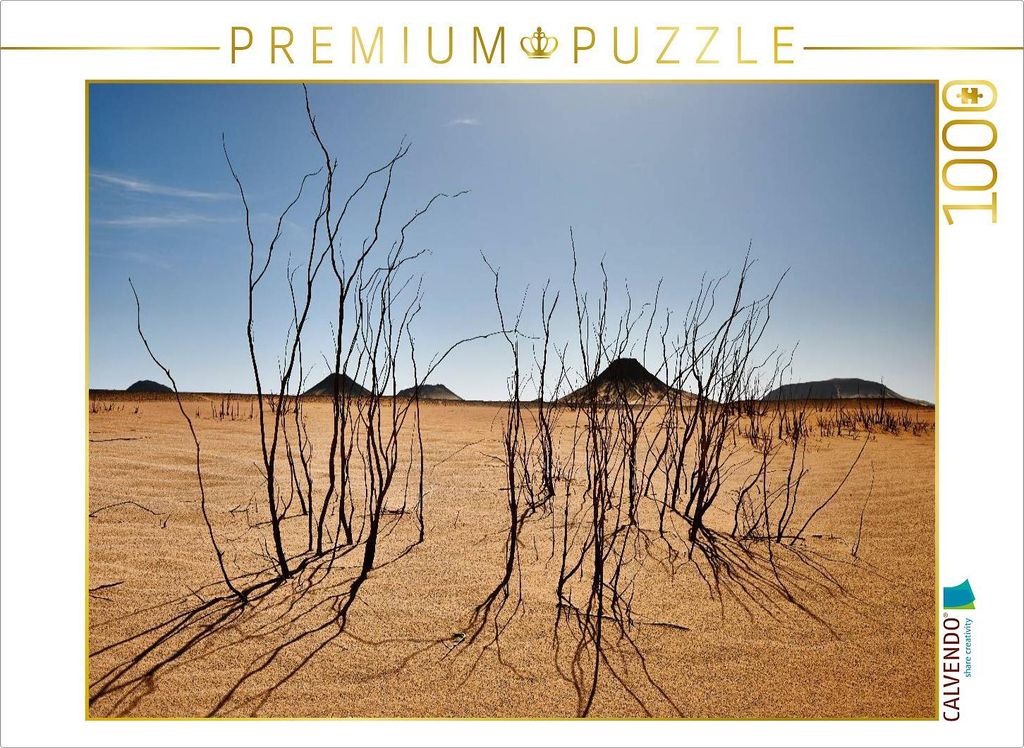 CALVENDO Puzzle Trockene Sträucher in der schwarzen Wüste nahe der Oase Bahariya 1000 Teile Puzzle quer | 1000 Teile Lege-Größe 64x48cm Foto-Pu...