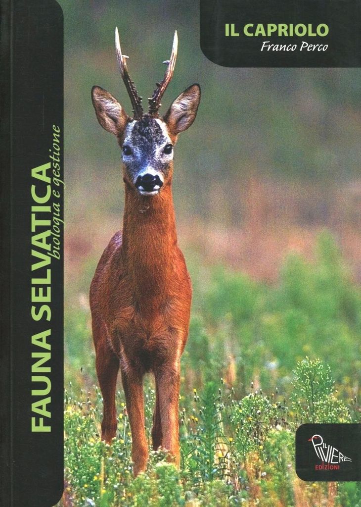 Il capriolo