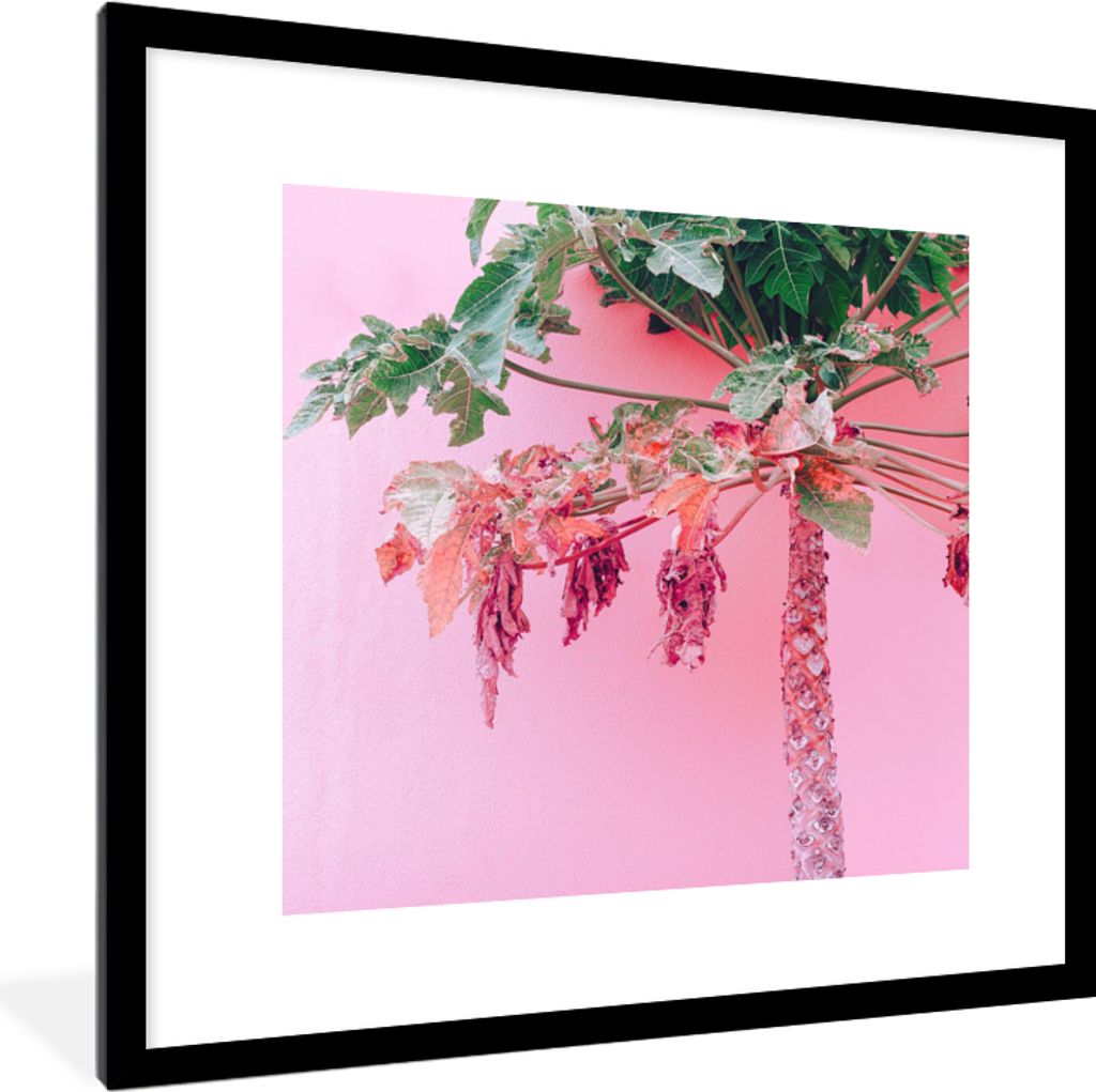 MuchoWow Gerahmtes Poster Palme - Tropisch - Rosa - Sommer 40x40 cm - Poster mit Schwarzem Bilderrahmen Wandposter Rahmen Foto Bilder - Poster - ...