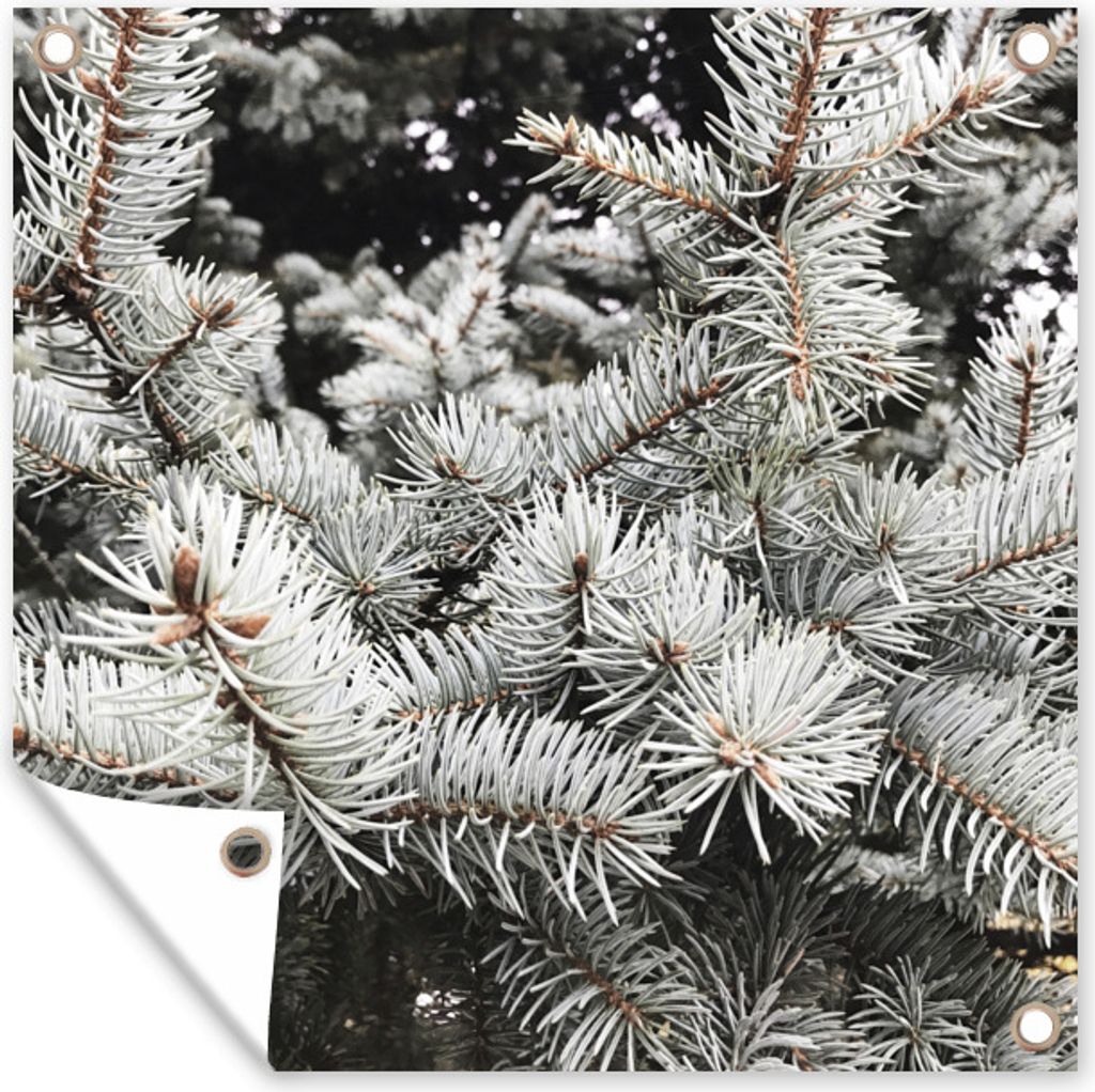 MuchoWow 100x100 cm Outdoor-Poster Gartendeko Sichtschutz Garten Poster für den Garten Baum - Äste - Winter