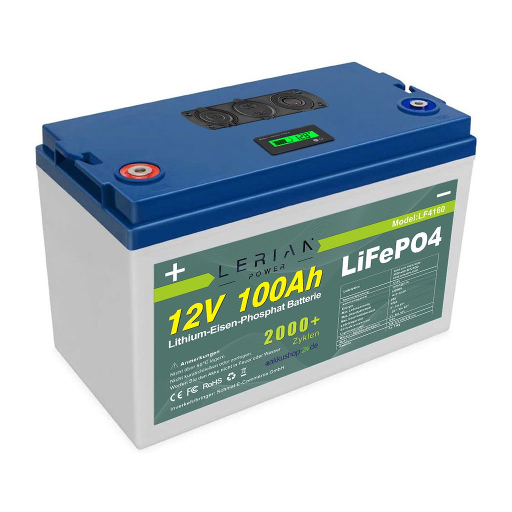 LiFePO4 Akku 12V 100Ah 100A Lithium-Eisen-Phosphat Batterie für Camping Boot Solar