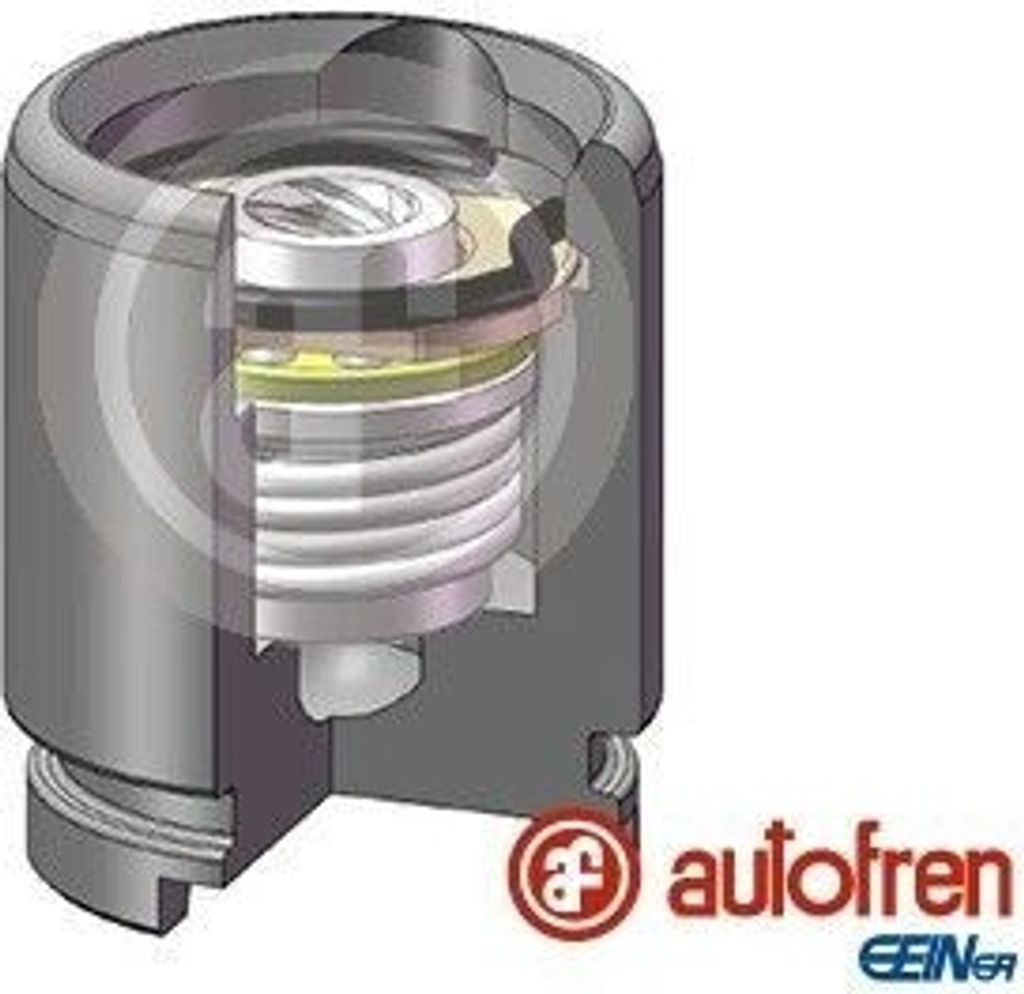 AUTOFREN SEINSA Bremssattel-Kolben für RENAULT CLIO II (BB0/1/2, CB0/1/2) 30mm