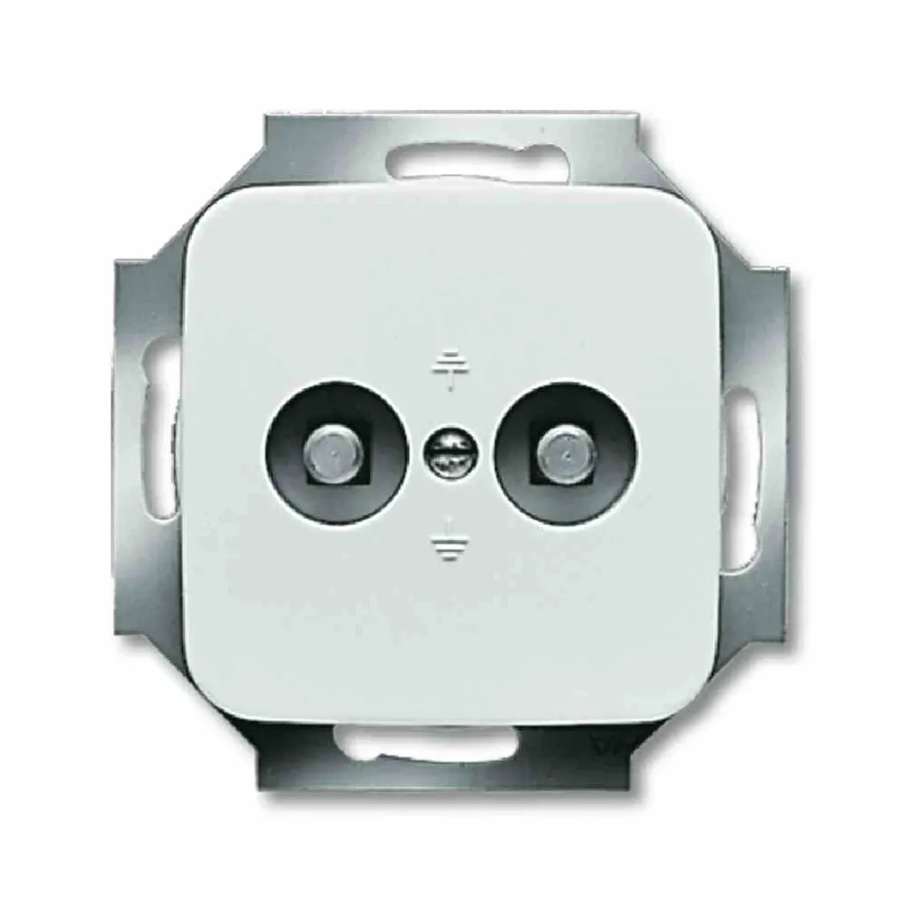 Support de Fixation Robuste Busch-Jaeger 2495-0-0059 en Acier Galvanisé