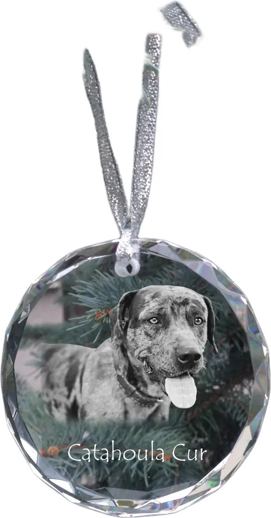 Ideale Regalo per Proprietari di Catahoula | Cristallo Art-Dog con Foto