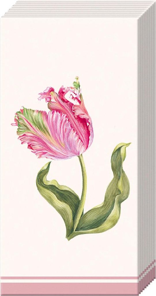 IHR Papiertaschentücher Driselle 10 Stück 21x21 cm