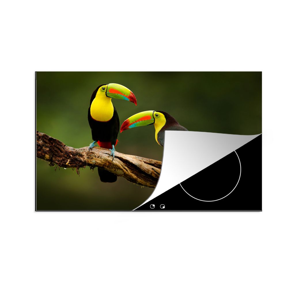 KitchenYeah Herdabdeckplatte Vögel - Tukan - Zweig - Tiere - Regenbogen , 81x52cm, Küche Deko, Glaskeramikkochfeld Herdabdeckung, Abdeckplatte ...