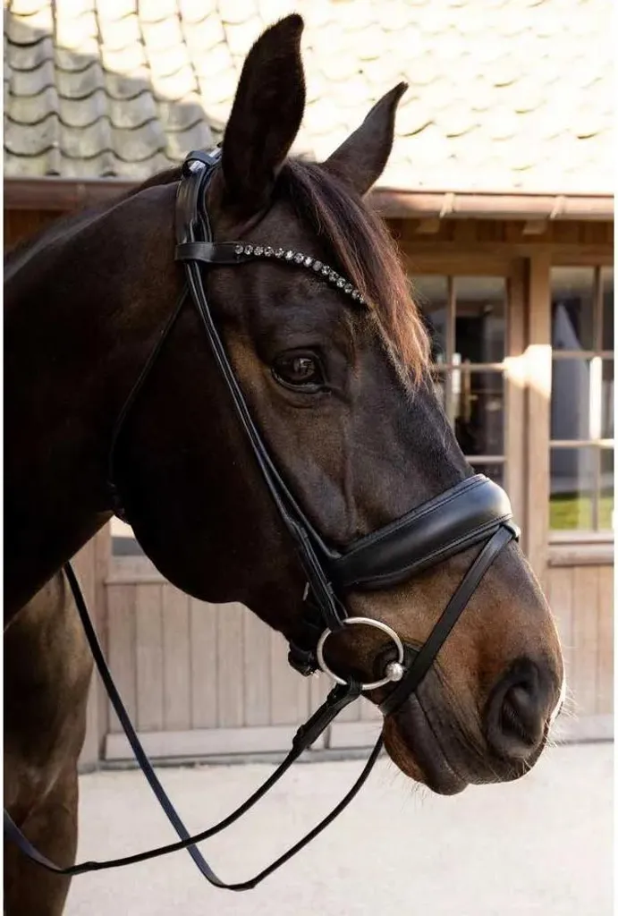 Bridon ComfoHead Dy'on combiné anglais noir complet cuir de buffle
