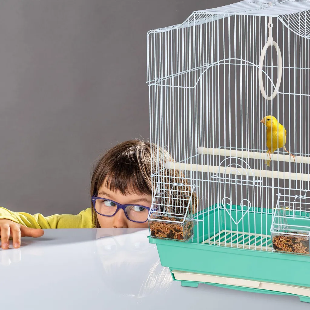 Cage à oiseaux anti-projections avec perchoirs stables pour la maison