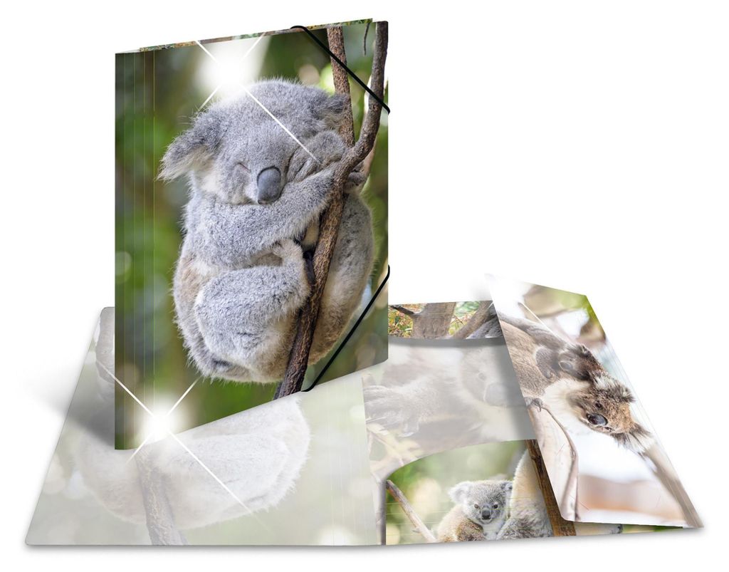 HERMA Sammelmappe A4 Glossy Koala Polypropylen Immagine del prodotto 