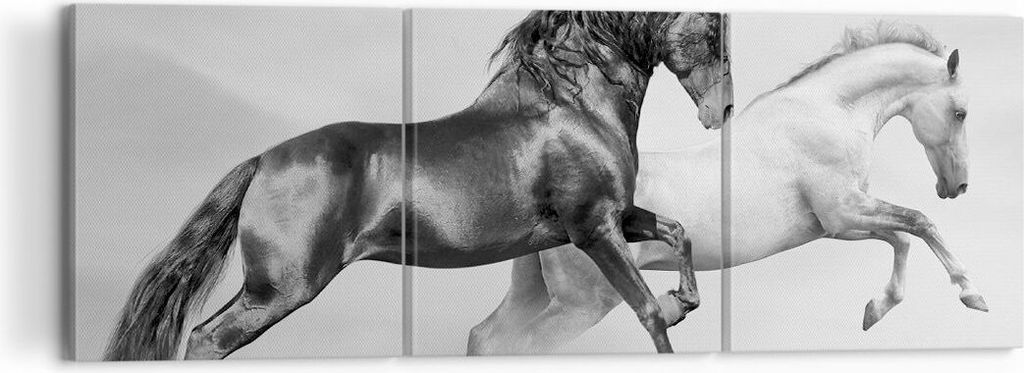 Bild auf Leinwand - Leinwandbild - Pferde Tiere Galopp Wiese - 120x40cm - Wand Bild - Wanddeko - Leinwanddruck - Bilder - Kunstdruck - Wanddekorati...